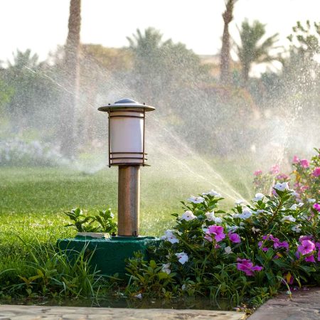 plastic-sprinkler-irrigating-flower-bed-on-grass-l-2023-07-05-06-17-58-utc-copy.jpg
